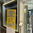 돌마로 | [미금 메이원헤어 고우리 디자이너] 염색 뿌리염색 잘하는 분당 미금역 미용실