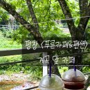 평창 하늘 펜션 | 푸른카페&amp;펜션 평창 흥정계곡뷰카페 - 하늘캠핑장 근처 산책카페 내돈내산 후기