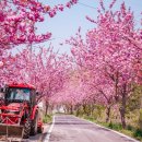 문수사 주차장 이미지