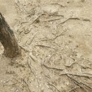 부평우체국 이미지