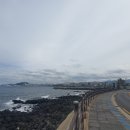 제주 올레길 17코스 이미지