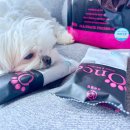 좋은강아지 | 기호성 좋은 강아지 사료 안전사료 후기