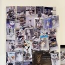 착한 고양이 | 전주 고양이미용 고양이호텔 저렴한 착한가격 함께냥 전주점 내돈내산 후기