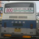 포항 800번 (오천~장기~양포~감포) 이미지