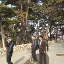 준현농장 Daum카페