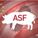 김일환 농장 이미지