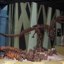 자연사박물관우석헌 이미지