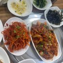 [뚜벅이] 여수여행 둘쨋날