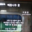 지하철 스크린 도어 게재 시/배롱나무 꽃 이미지