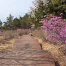 정상부 경관 이미지
