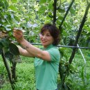 고운주유소 이미지