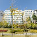 16단지휴먼시아 이미지