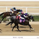 경마공원 이미지