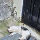 친구야 | [서울] 일사병으로 쓰러질뻔한 날.. 카페 산 1-1 등반후기 (feat. 친구야 미안해)