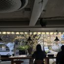 카페봄(cafe,봄) | 홍대 데이트 카페 추천 : 신상 카페 이요카페 봄에 가기 좋은 곳 후기