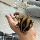 마리앤쥬 이미지