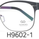 H9602 이미지