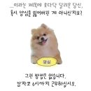 설희네 | 이맛에 다들 GPT 쓰는구나?