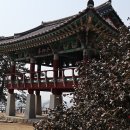 동백코스(서천-군산) 이미지