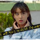 쌈428 이미지