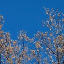 보배어린이공원 이미지