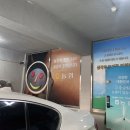 베베놀카페