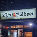 꼬꼬통닭 | 광명)하안동 전기구이통닭 맛집 "오달자엔꼬꼬비어" 내돈내산 후기