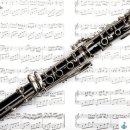 클라리넷 집중레슨 이미지