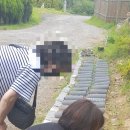 강원장례협동조합