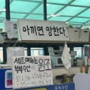 자인수산 | [경주 감포] 양이 진짜 넘치고 넘치는 가성비횟집 &#34;부부수산&#34;