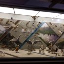 국립중앙과학관 이미지