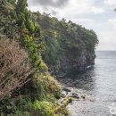 서귀포시축산업협동조합플라자