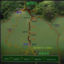 단풍보러 갑니다,홍천 구룡령 옛길 & 은행나무 숲(23년10월22일) 이미지