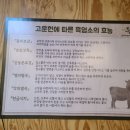 북한산흑염소 이미지