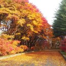 호명펜션 이미지