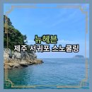 제주 서귀포 스노쿨링 명소 섶섬에서 즐기는 뉴헤븐