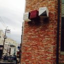 신비주가 | 신비주 드레스샵 방문후기_