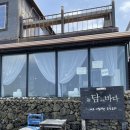 돌담너머바다 이미지