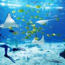 한국해양수조공사 이미지