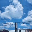 홍양(주) 이미지