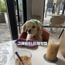 그래비티지제역점