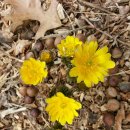 아지랭이 이미지