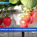 (주)밸류팜 이미지