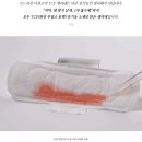 (주)솜바이오 | 유기농 생리대 비교, 추천 (이너시아, 오드리선, 리즌)