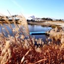 경인아라뱃길아라인천여객터미널 이미지