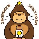 고릴라캠핑인속리산 이미지