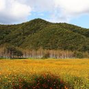 연천재인폭포 이미지