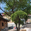 한옥예술유치원 이미지