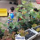 회정초등학교 이미지