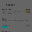 포켓클럽 이미지